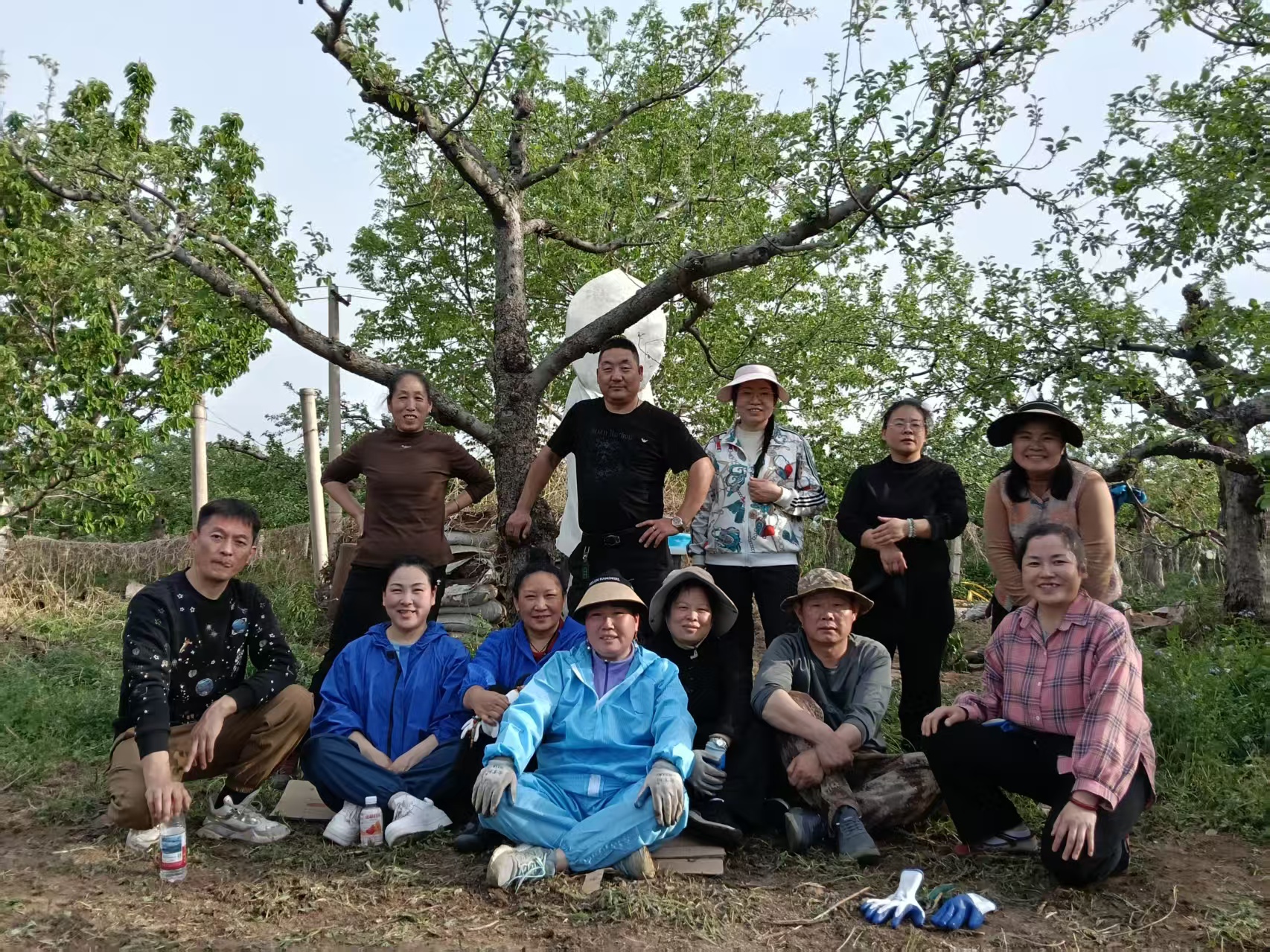 凤缘龙阁走进小郎中果园